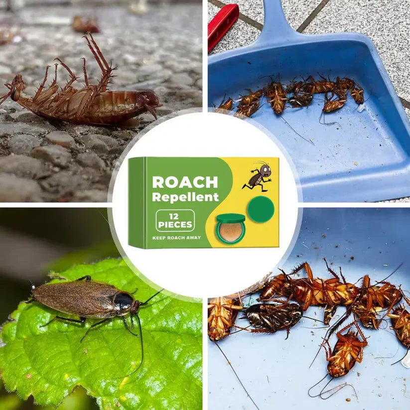 Nofexa™ Plant-Powered Roach Repellent (Pet & Kid Friendly)
