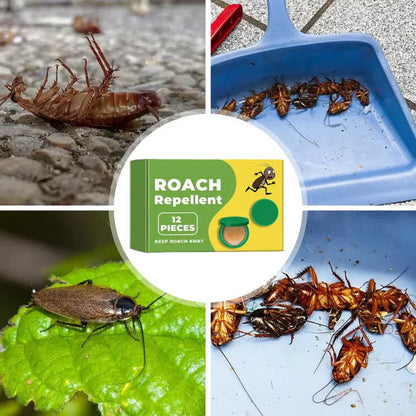 Nofexa™ Plant-Powered Roach Repellent (Pet & Kid Friendly)
