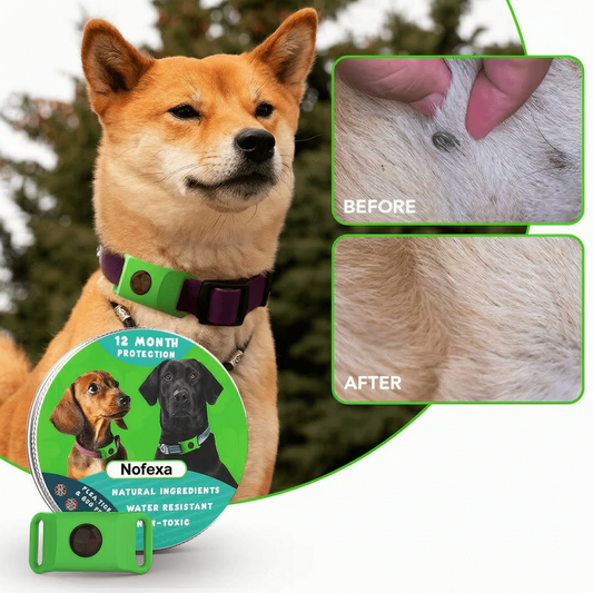 Nofexa™ 12 Months Flea and Tick Free